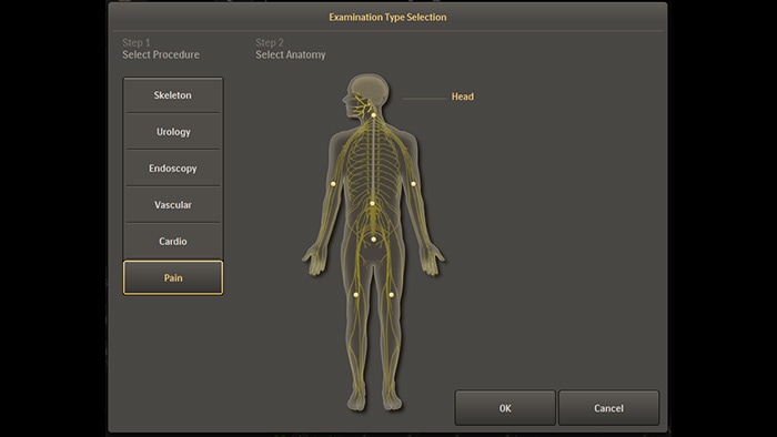 Customized pain examination setting