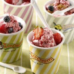 Instant Strawberry Frozen Yoghurt