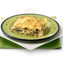 Chicken lasagne